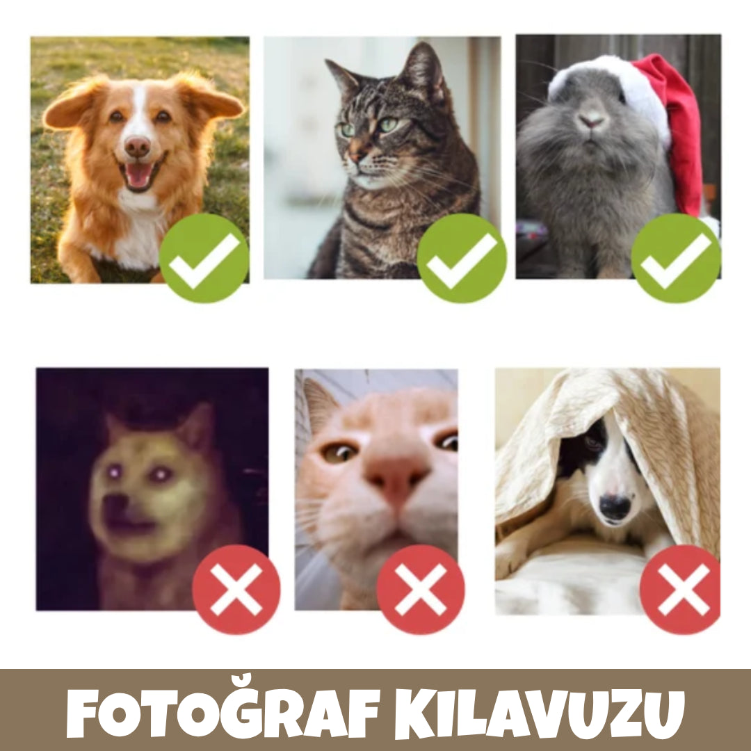 Piccely™ Evcil Dostunuza Özel Yastık