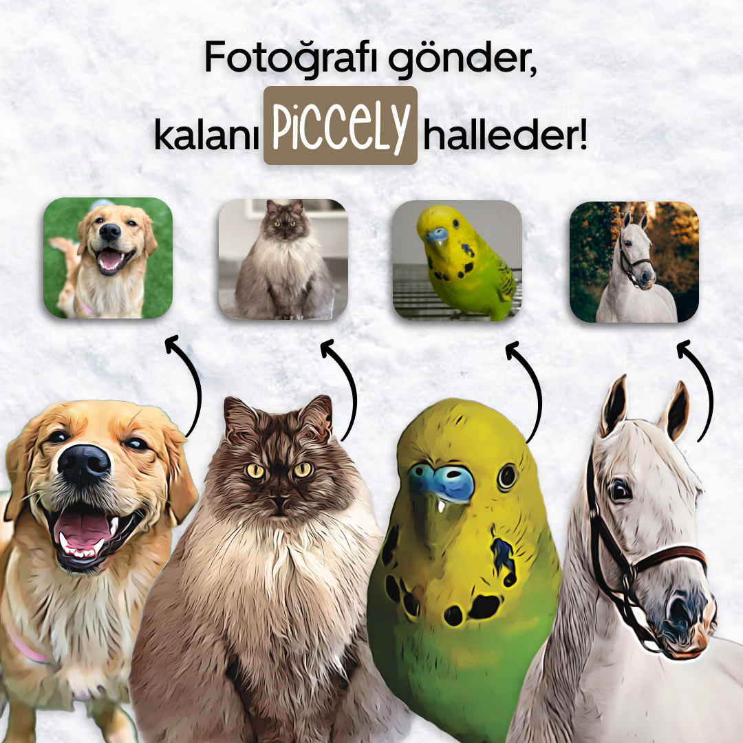 Piccely™ Evcil Dostunuza Özel Kılıf