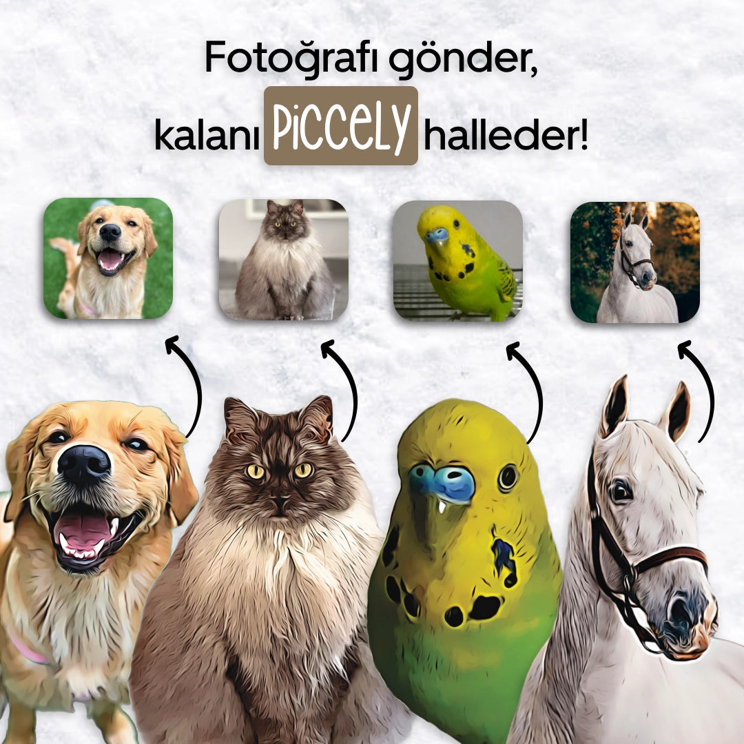 Piccely™ Evcil Dostunuza Özel Renkli Kılıf